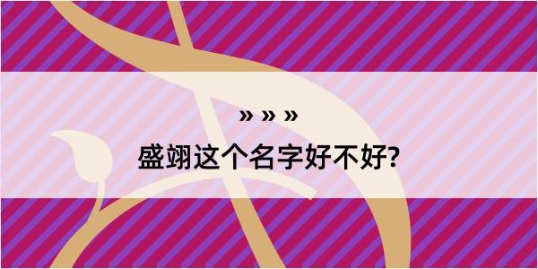 盛翊这个名字好不好?