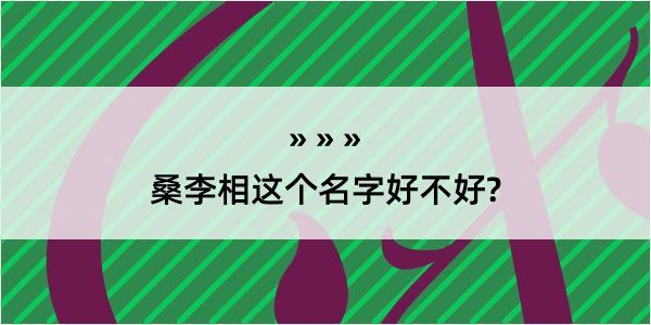 桑李相这个名字好不好?