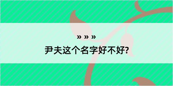 尹夫这个名字好不好?