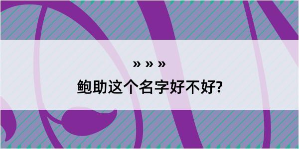 鲍助这个名字好不好?