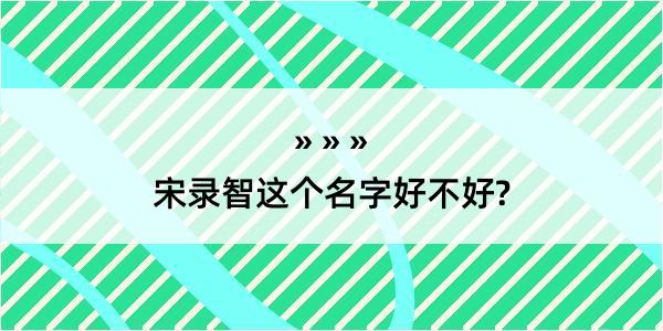 宋录智这个名字好不好?