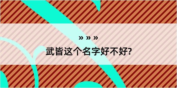 武皆这个名字好不好?