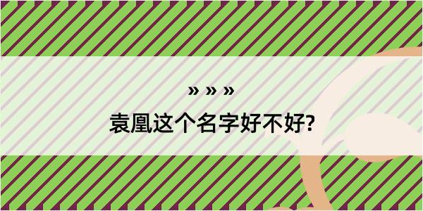 袁凰这个名字好不好?