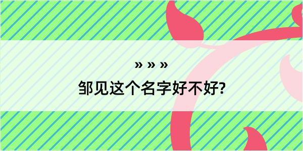 邹见这个名字好不好?