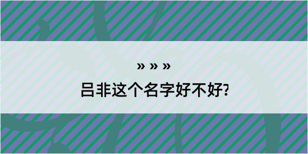 吕非这个名字好不好?