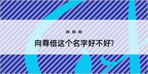 向尊倍这个名字好不好?