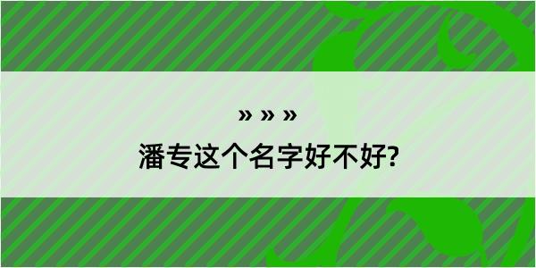 潘专这个名字好不好?