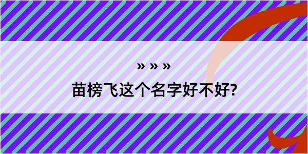 苗榜飞这个名字好不好?