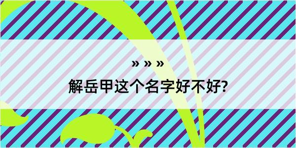 解岳甲这个名字好不好?