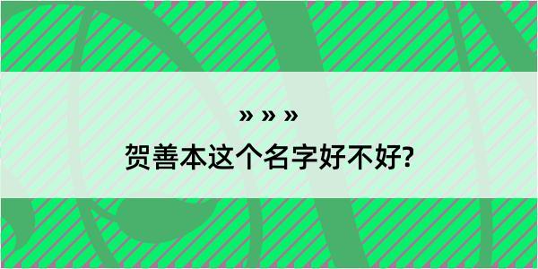 贺善本这个名字好不好?