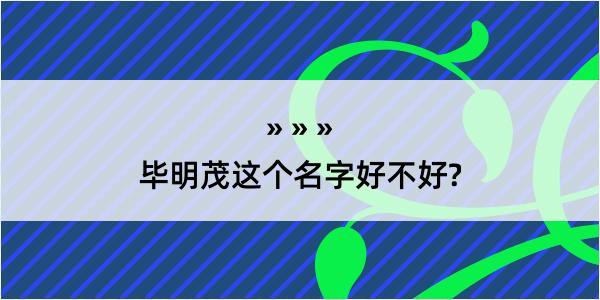 毕明茂这个名字好不好?