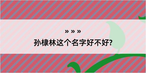 孙棣林这个名字好不好?