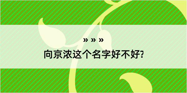 向京浓这个名字好不好?