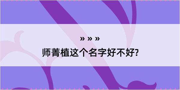 师菁植这个名字好不好?