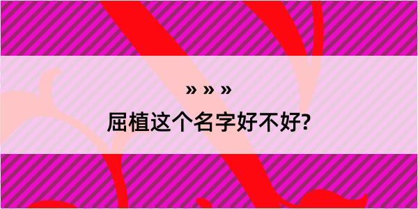 屈植这个名字好不好?