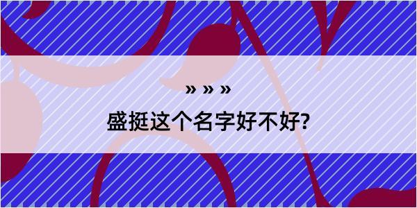 盛挺这个名字好不好?