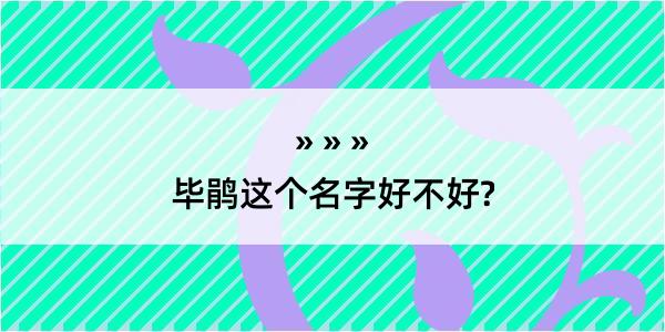 毕鹃这个名字好不好?