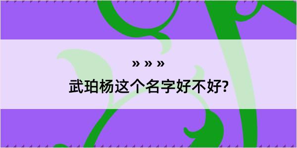 武珀杨这个名字好不好?