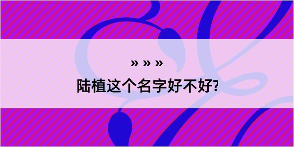 陆植这个名字好不好?