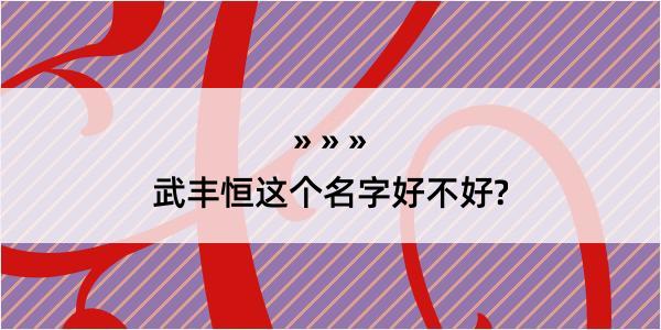 武丰恒这个名字好不好?