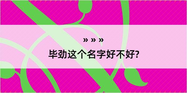 毕劲这个名字好不好?