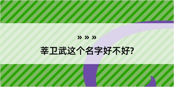 莘卫武这个名字好不好?