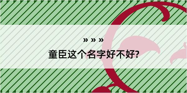 童臣这个名字好不好?