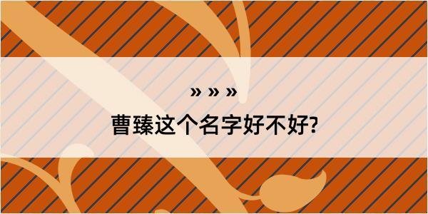 曹臻这个名字好不好?