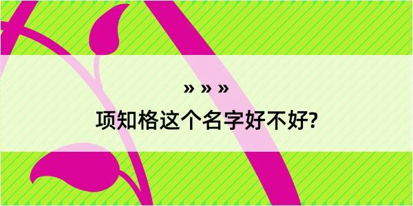 项知格这个名字好不好?