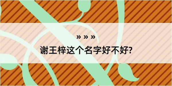 谢王梓这个名字好不好?