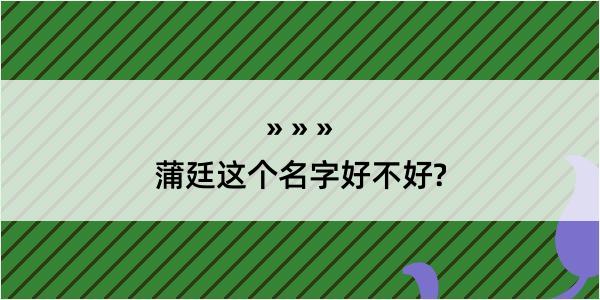 蒲廷这个名字好不好?