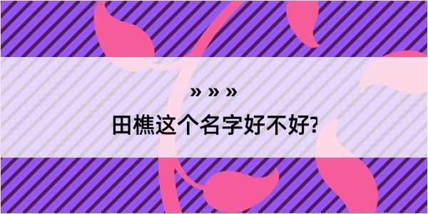 田樵这个名字好不好?