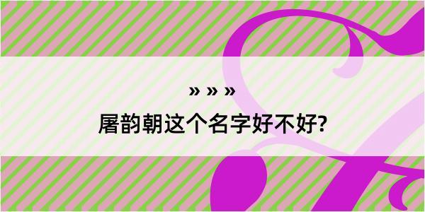 屠韵朝这个名字好不好?