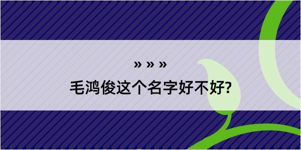 毛鸿俊这个名字好不好?