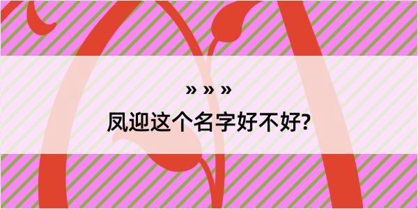 凤迎这个名字好不好?