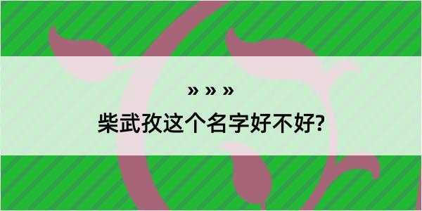 柴武孜这个名字好不好?