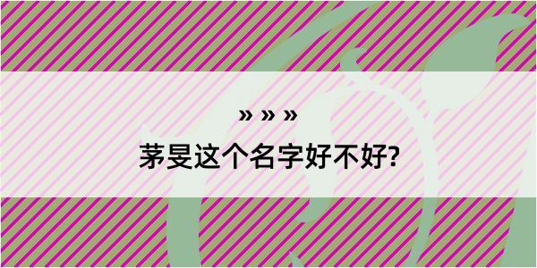 茅旻这个名字好不好?