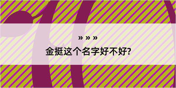 金挺这个名字好不好?