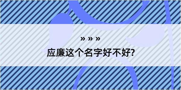 应廉这个名字好不好?