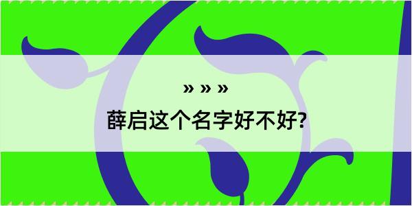 薛启这个名字好不好?