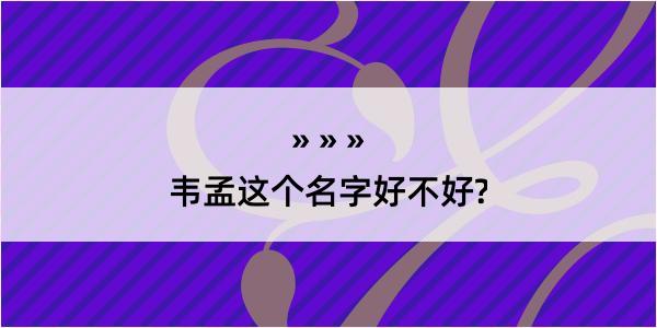 韦孟这个名字好不好?