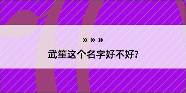 武笙这个名字好不好?