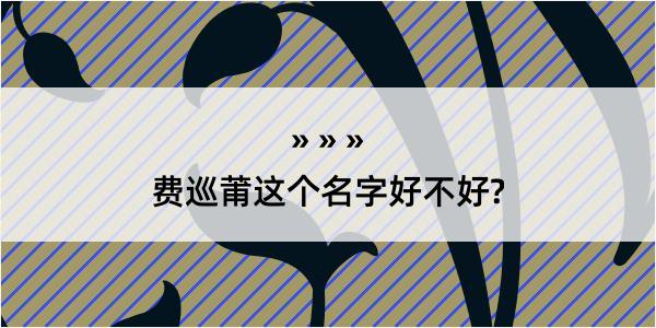 费巡莆这个名字好不好?