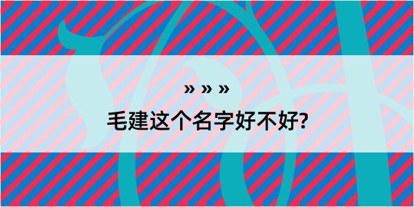 毛建这个名字好不好?