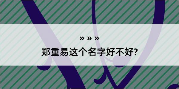 郑重易这个名字好不好?