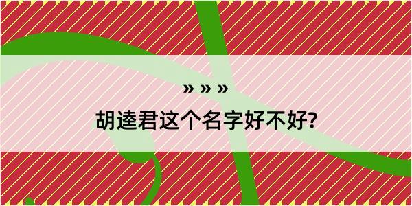 胡逵君这个名字好不好?