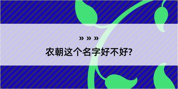 农朝这个名字好不好?