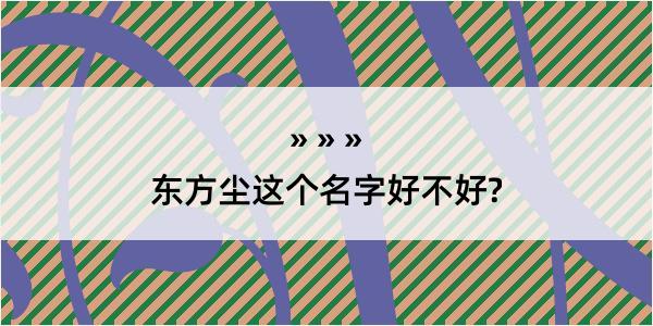 东方尘这个名字好不好?