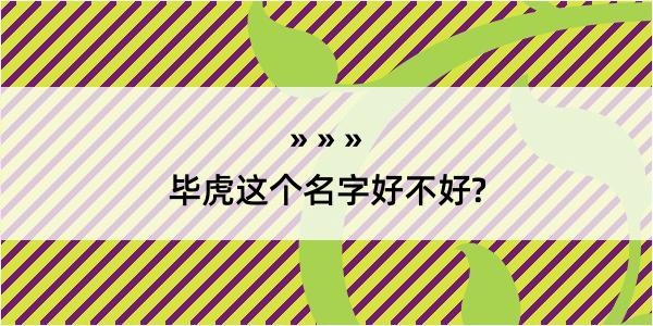 毕虎这个名字好不好?