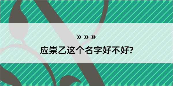 应崇乙这个名字好不好?